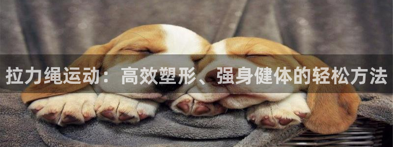 意昂4招商