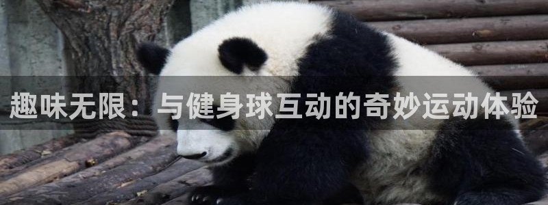意昂4官网