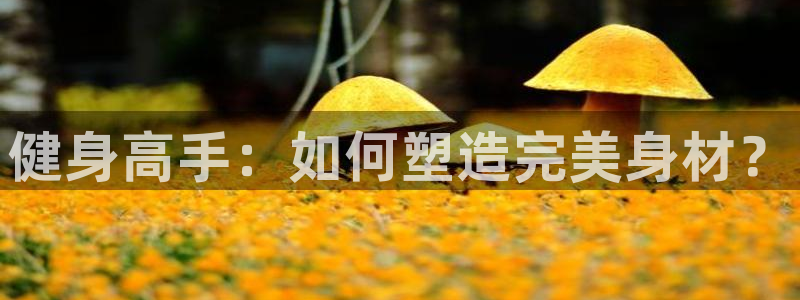 意昂4代理