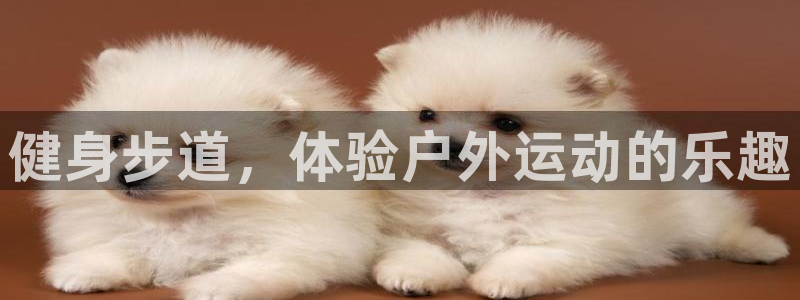 意昂4娱乐